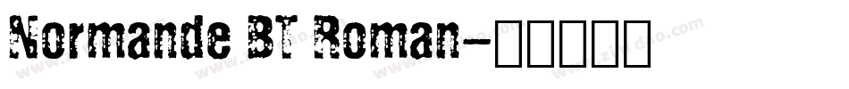 Normande BT Roman字体转换